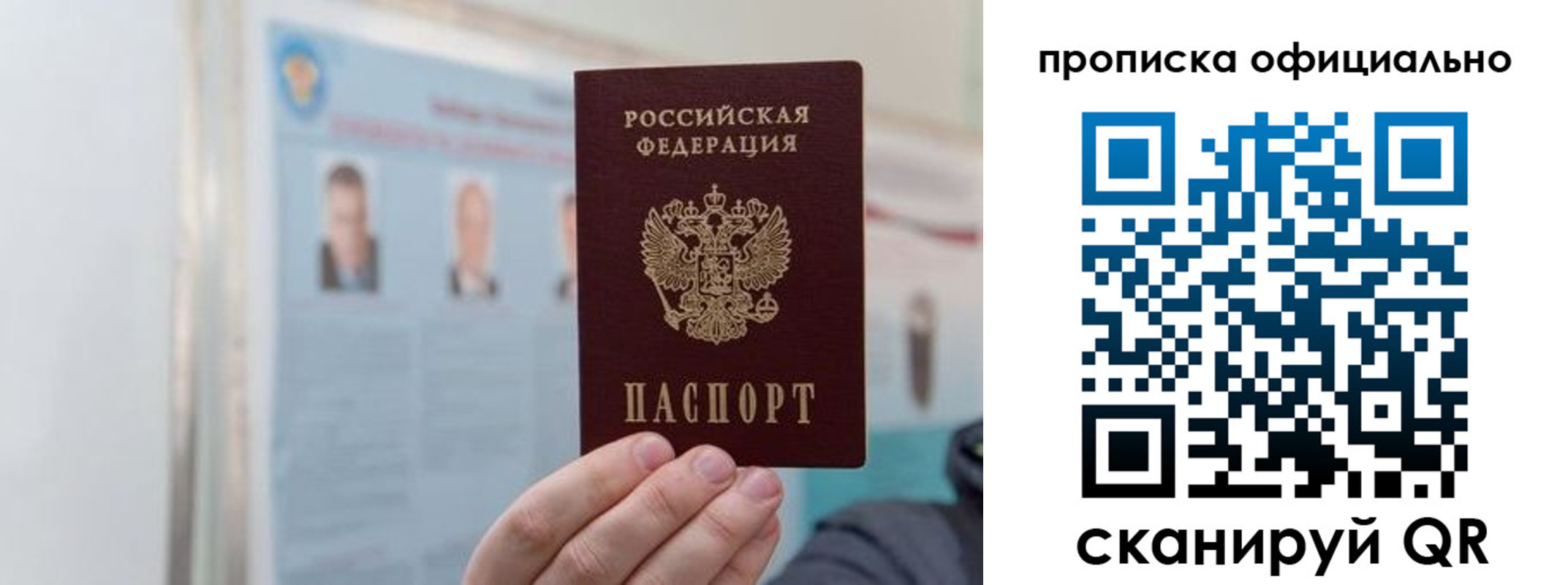 прописка гарантия в Амурской области